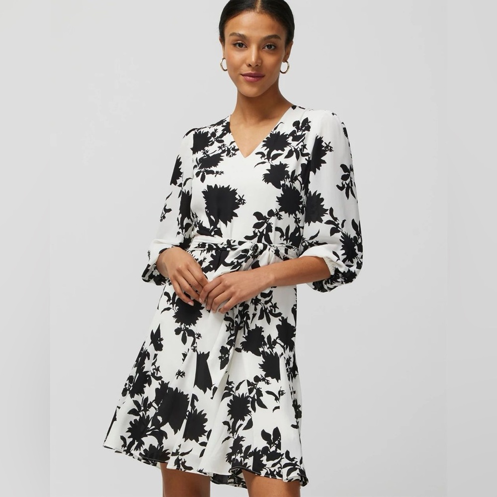 Godet Dress